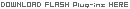 DOWNLOAD FLASH Plug-ins HERE